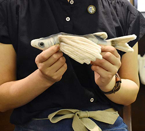 Flying Fish No.6049