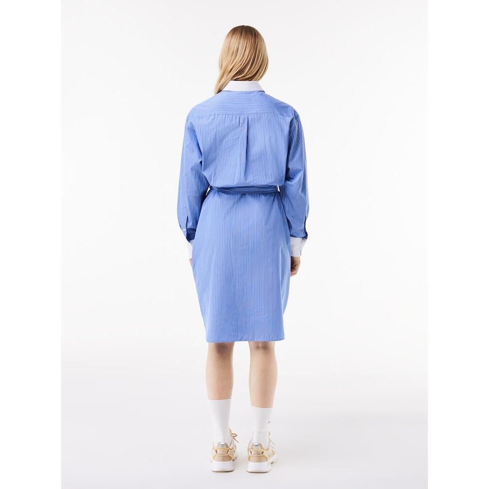 LacoSte Women S Stripe Shirt dreSS Ef1110 54g Iiy q2nEf1110 54gIiy