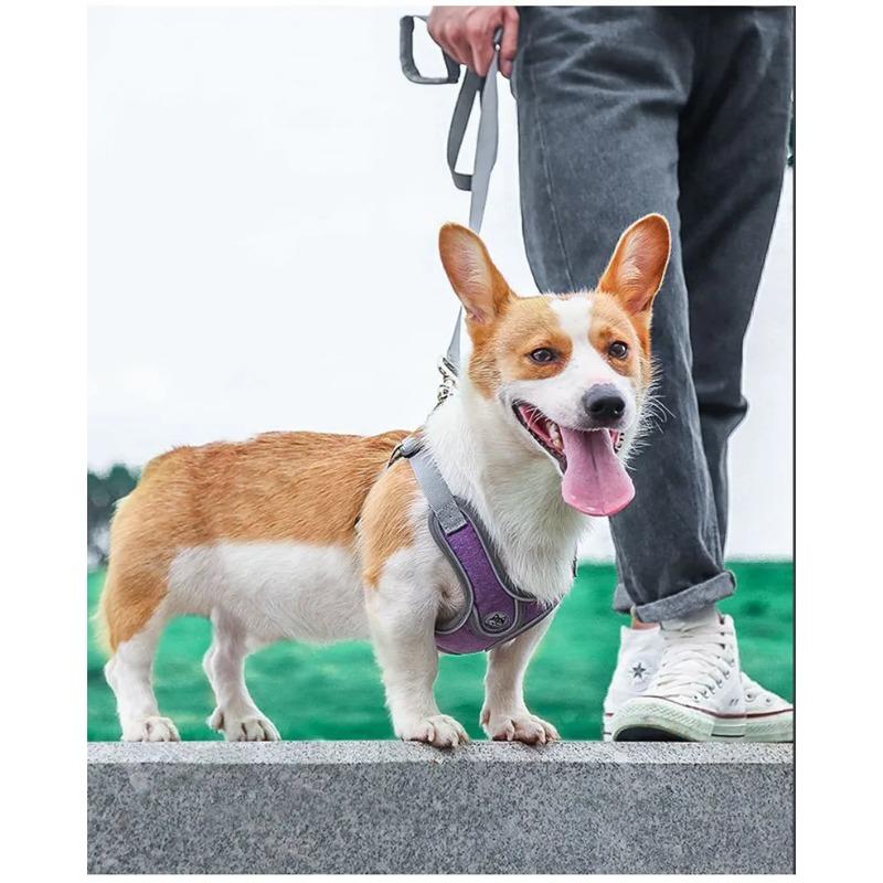 Adjustable Reflective Dog Harness Vest - Mesh Chest Strap for Small  Dogs and Cats - Comfortable Pet Accessories