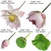 Long Stem Simulation Lotus Flower Green Plant Faux Flower  Floral Arrangement