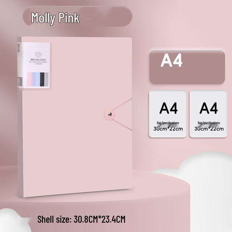 Morandi A4 Transparent Document Holder for Students and Professionals