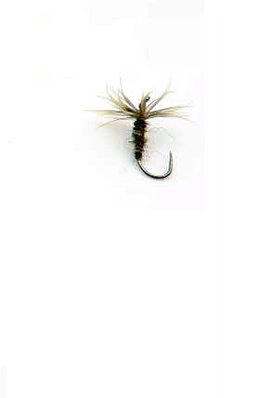 

Nissin Uzaki Oni Kebari Pheasant Feather Regular Kebari by Sakakibara Hand-wrapped