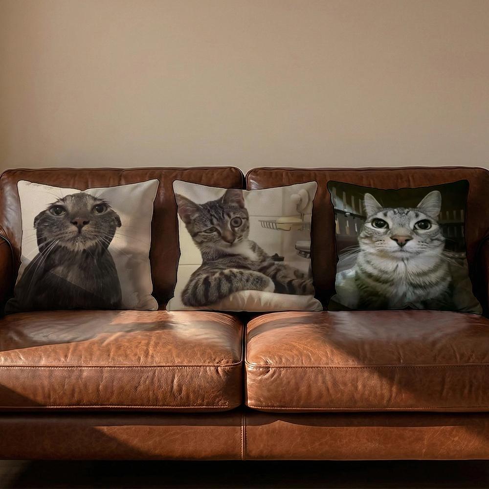 Pet Cat Funny memes Cushion Cover Soft Reversible Durable Pillow Cover MultiScene Use for Home Car Daily Comfort