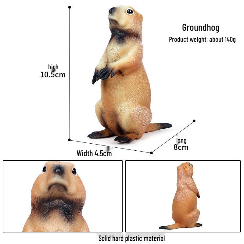 Simulation Animal Model Toys - Mouse, Marmot, Flying Squirrel, Naked Mole Rat, Squirrel, Weasel, Golden Hamster Ornaments