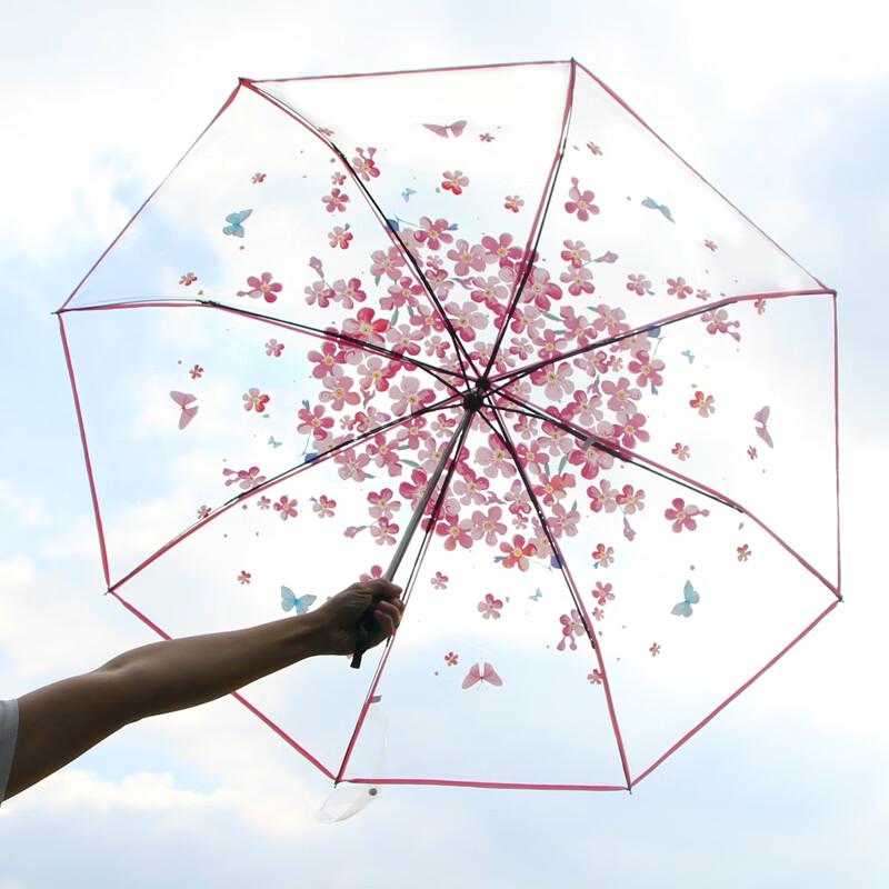 

Shixun Japanese Style Umbrella