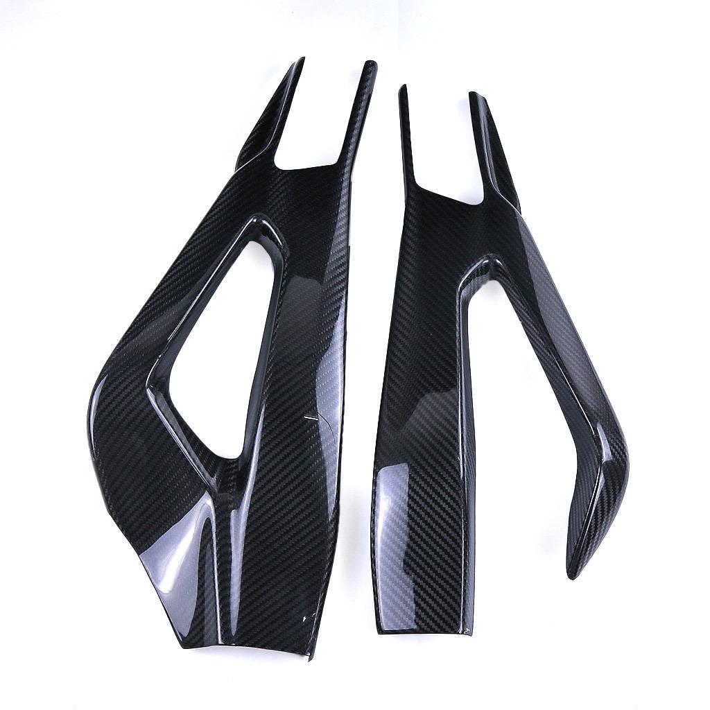 BMW S1000RR/S1000R Carbon Fiber Swingarm Protector Cover for M1000RR