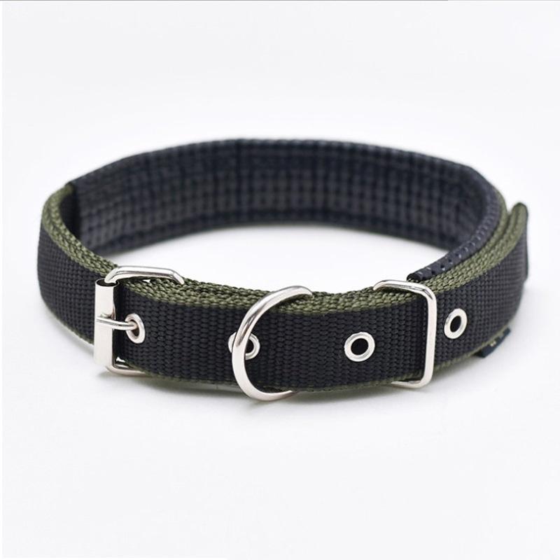 Pet Collar Made Of Pp Polypropylene Breathable And Comfortable Suitable For All Seasons