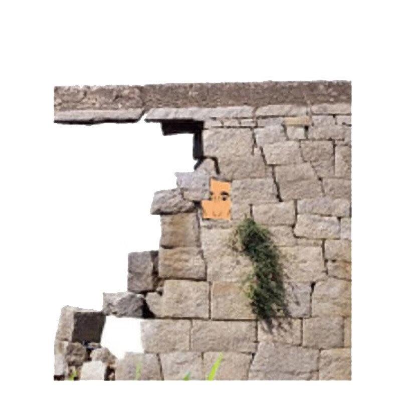 Shuang An Training Target Paper