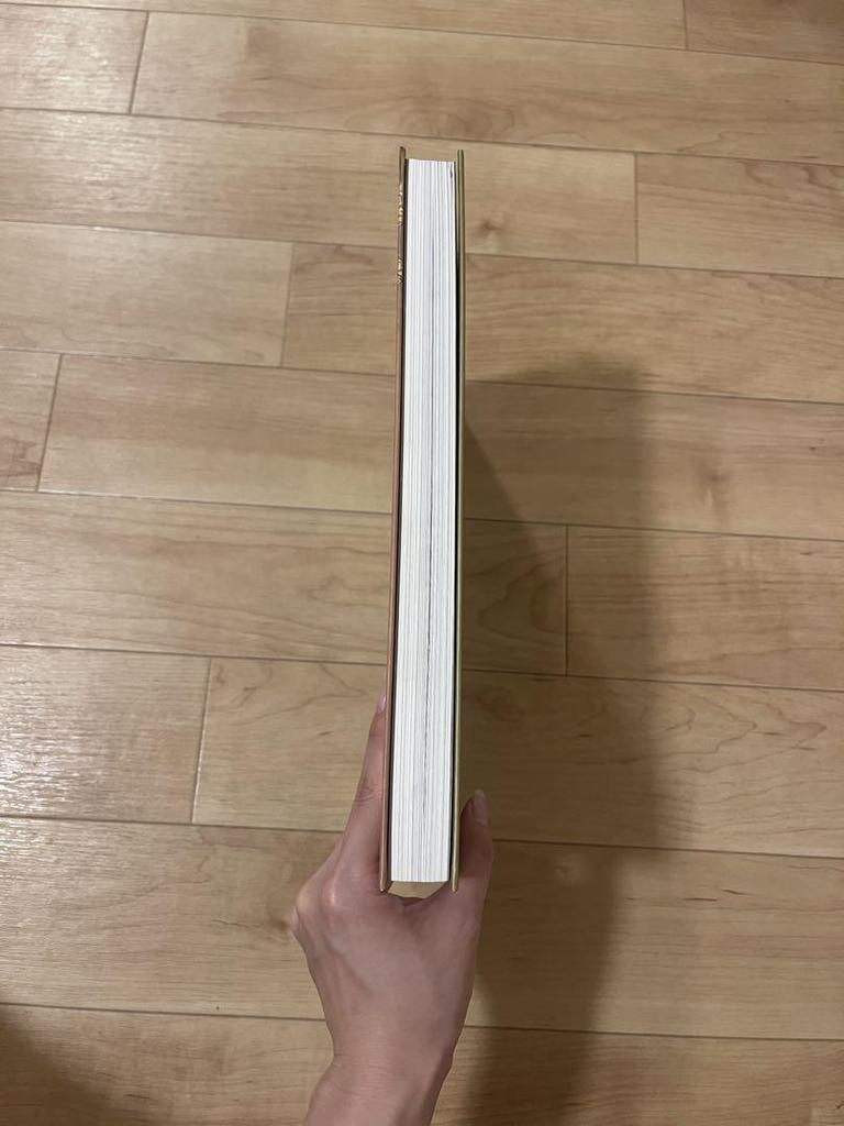 [USED] Klimt Exhibition Vienna and Japan 1900 Official Catalog