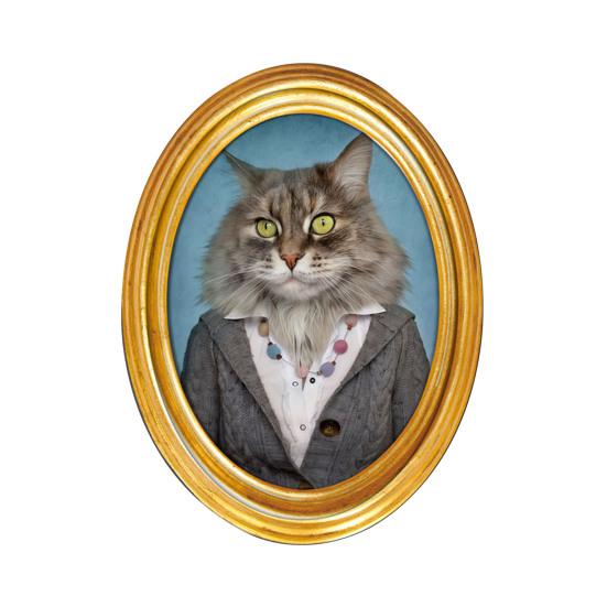 1/3/6Pcs Toast Avocado Cat Refrigerator Magnet with Oval Wooden Frame Kitten Fridge Magnet Home Kitchen Office Decoration Animal Lover Gift