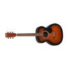 40 Zoll Dreadnought Akustikgitarre Anfänger-Bundle Gigbag Erwachsener Sunburst