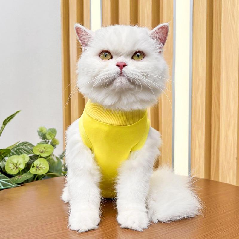Suministros para Mascotas Ropa para Gatos Ropa Postoperatoria de Esterilización para Gatos Anti-lamido y Mordeduras Suave Superelástica Británica
