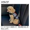 Richell Outing Vest Harness M Stripe M Size