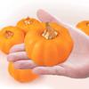12 Pack Christmas Artificial Pumpkin Sets Made of Foam Simulation Pumpkin Ornament for Autumn Hallow