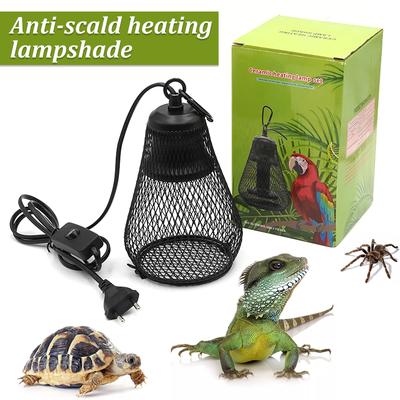 Reptiler – Terrarium