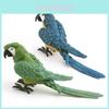 Stunning Plastic Parrot Decoration Realistic Animal Figure Perfect For Home Display