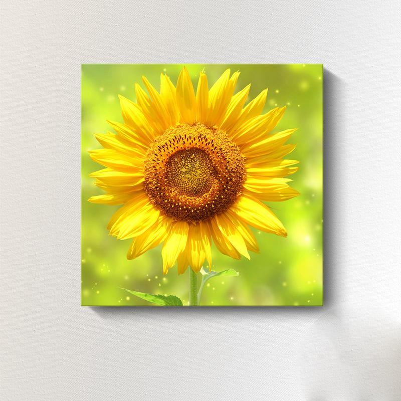 Moderne Sonnenblumen-Leinwandmalerei, nordische Landschaft, HD-Bilder, Blumenplakate und -drucke, Wandkunst, Bilder, Wanddekoration, kein Rahmen
