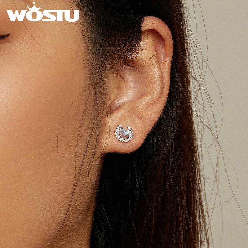 WOSTU Dop rotund pentru urechi și cercei din argint 925, în formă de piatră de lună, potcoavă, bijuterii pentru femei