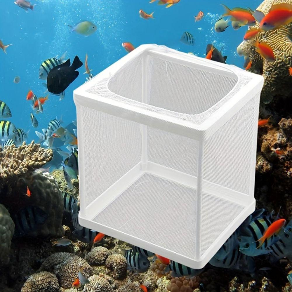 Hanging Fish Breeding Breeder Box Aquarium Fish Tank Incubator  Baby Fishes Shrimp