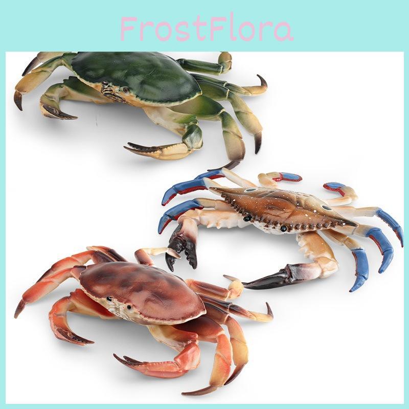Marine Life Crab Replica With Static Display For Home Or Office Use