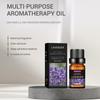 10ml Fragrant Massage Essence Oil, Moisturizing Skin-Care for Soothing Body and Relaxation