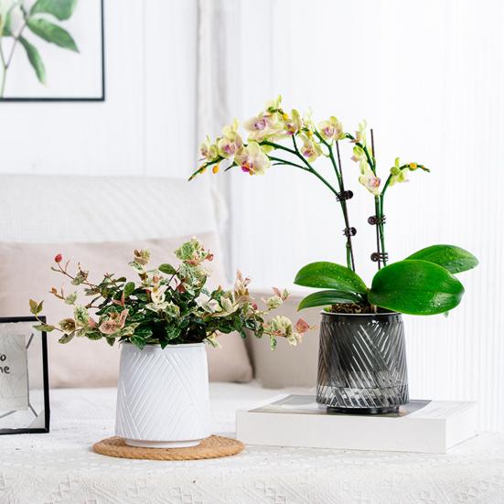 Self Watering Pots for Indoor Plants Small Plastic Planter Modern Wicking Flower Pot with Wick Rope And Reservoir for Violets Ocean