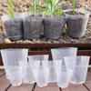 50/10 Stück Transparenter Blumentopf Pflanzenanzuchttopf Sämlingsbecher Gartenarbeit Umpflanzen Blumentopf Pflanzgefäß Gartengerät