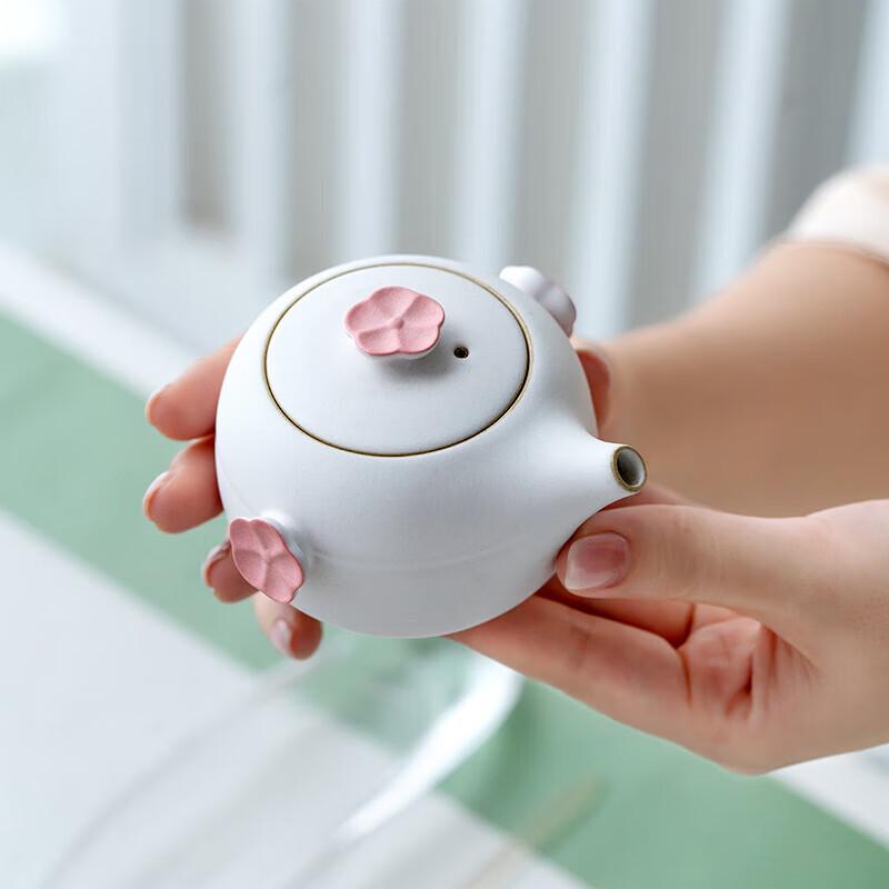 Edenus Ceramic Kung Fu Tea Set - Plum Gentleman