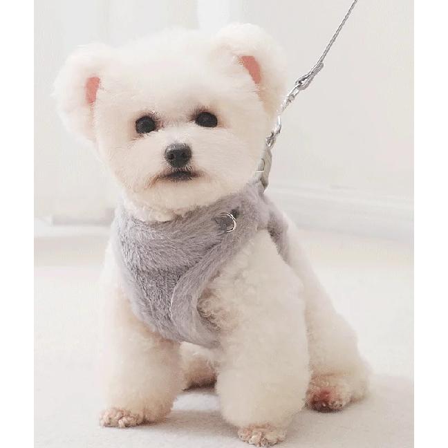 Winter Plush Dog Harness & Leash Set - Adjustable Vest-Style Pet Harness with Warm Padding, Pet Harness Vest for Small Dogs