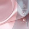 Stain Pillowcase Silky Pillowcase Natural Silk Pillowcase Mulberry Silk Pillow Case for Standard Queen King Pillow Cover