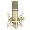 Studio Condenser Microphone Metal Wired Cardioid Condenser Microphone for Vocal Recording