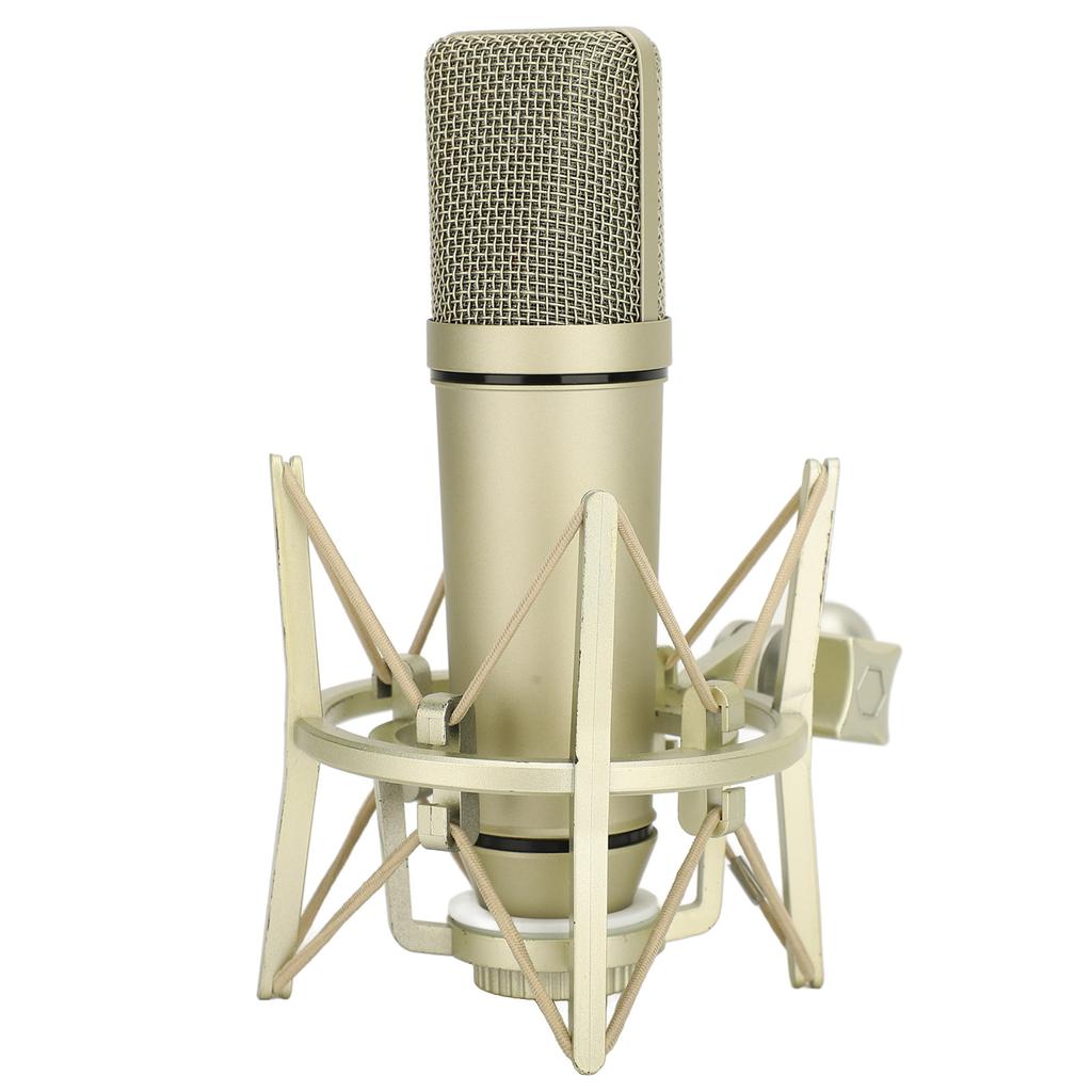 Studio Condenser Microphone Metal Wired Cardioid Condenser Microphone for Vocal Recording