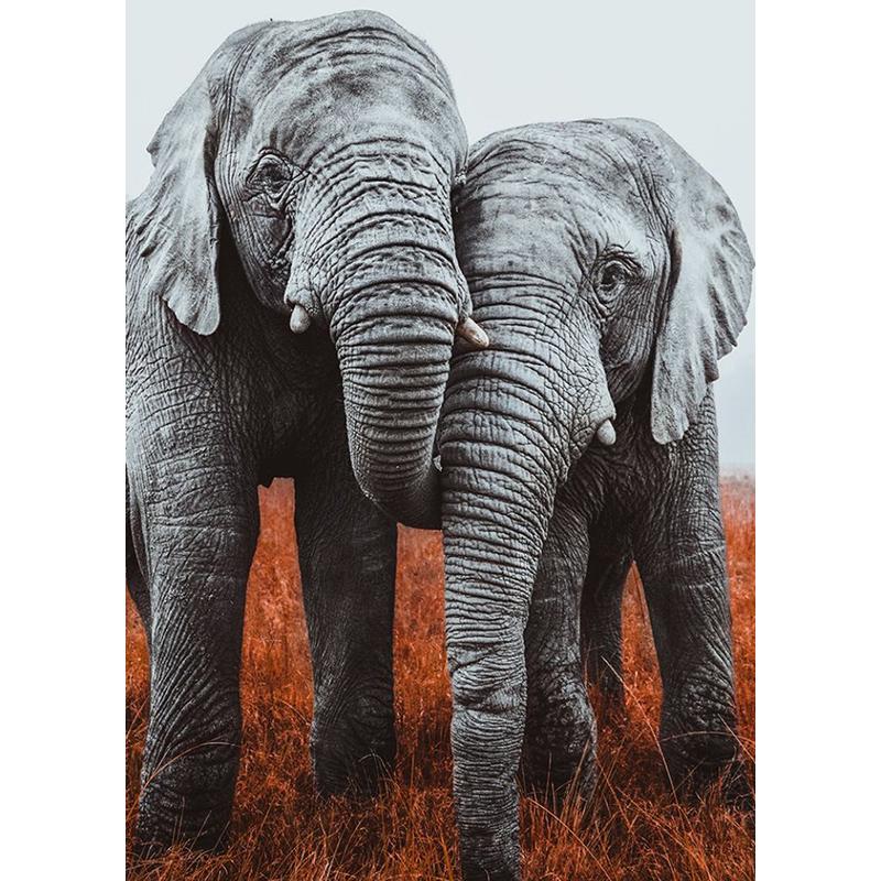 DIY Elephant 5D Diamond Maling Full Rund Drill Animal Diamond Brodery Rhinestone Art Mosaic Home Decoration Håndlaget gave
