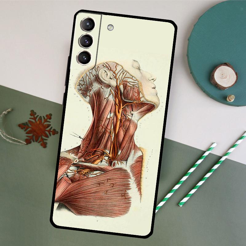 

Medical Human Organs Meridian Art Phone Case For Samsung Galaxy S26 S24 Ultra S20 S21 S22 S23 S25 Plus S10 S25 FE Back Cover Galaxy S25