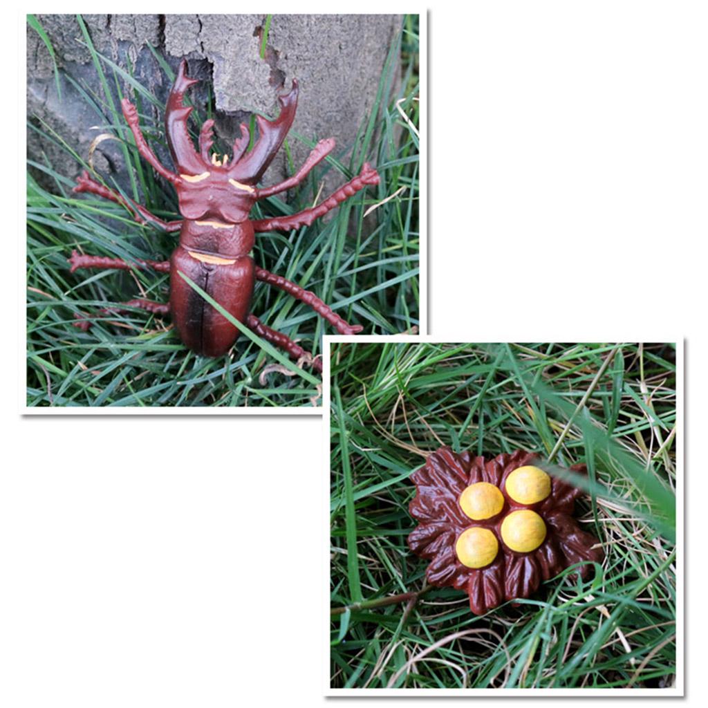 Pomoce dydaktyczne dotyczące cyklu życia zwierząt w klasie od 5. roku życia Biedronka