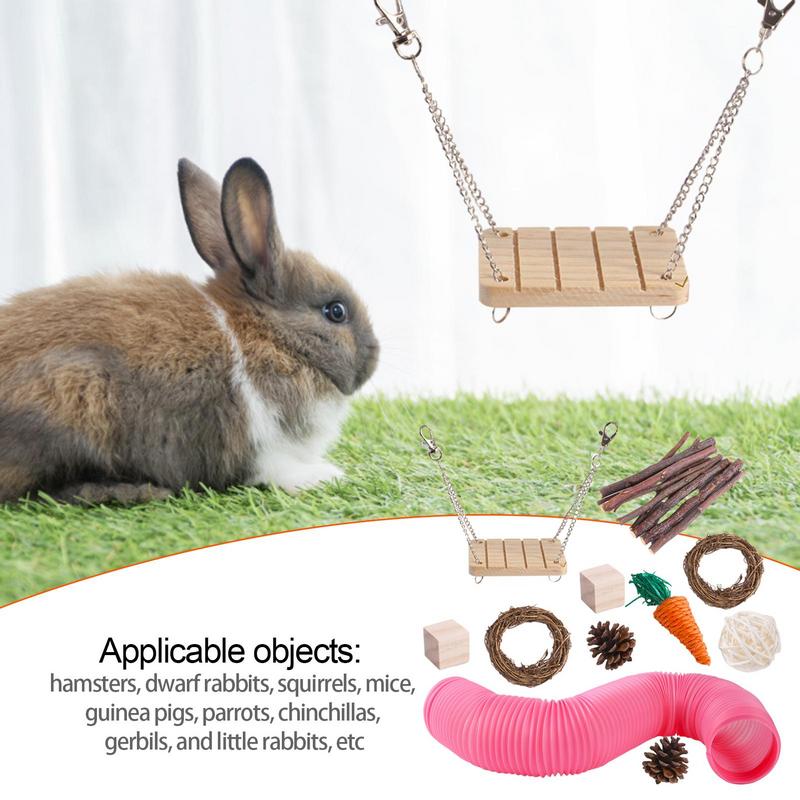 Hamster Chew Toy Set Natural Wooden Hamster Toys And Accessories For Cage Guinea Pig 11Pcs Chew Toy Teeth Small Animal Toy