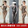 Sex Underwear Stockings Lace Sexy Uniform One-piece Transparent Pajamas Mesh Combination Set