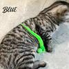 Durable Cat Toy Interactive Bouncy Ball with Tail Colorful Fuzzy Worm Rainbow Chasing