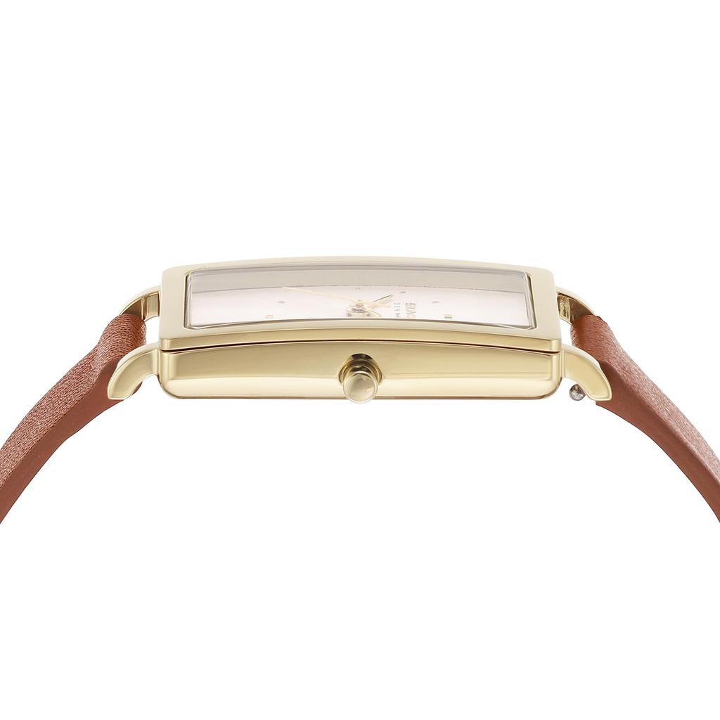 Skagen HAGEN LILLE SKW3097 Women's Brown Watch