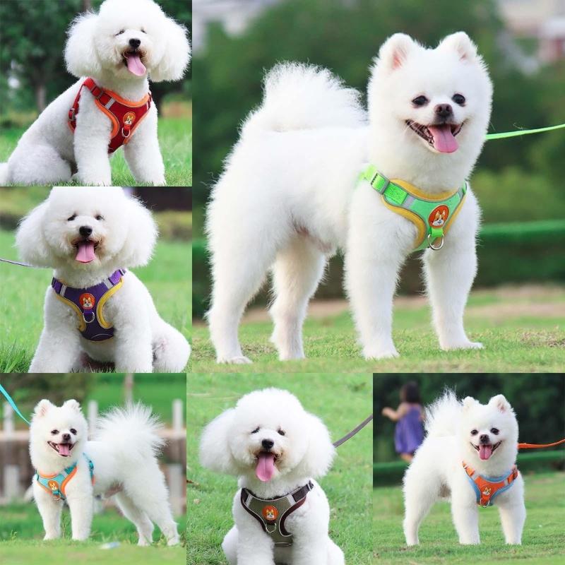 Pet Chest Strap Vest Type Dog Strap Small Dog Rope Outdoor Reflective Breathable Dog Traction Rope Dog Collar Seat Belts