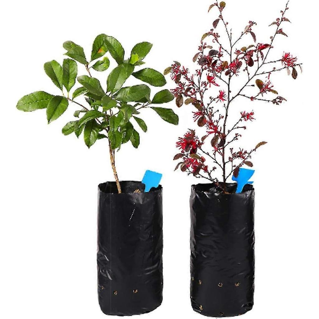 Seedling Bag, Plastic Nursery Bags, Seedling Bag Plastic Nursery Bag Plant Grow Bag 200pcs - Ya