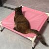 Pet Camping Bed Elevated Bed for Dogs Folding Puppy Camping Bed Cat House Portable Removable Washable Puppy Beds Dog Hammock