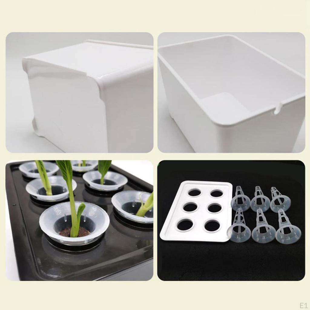 Hydroponic Cultivation System, Device, Wear-resistant Planting Container