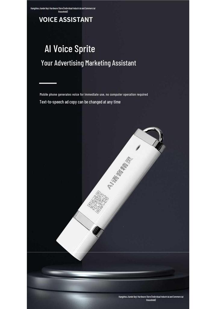Voice Changer USB for Speaker and Sound System Loop Playback