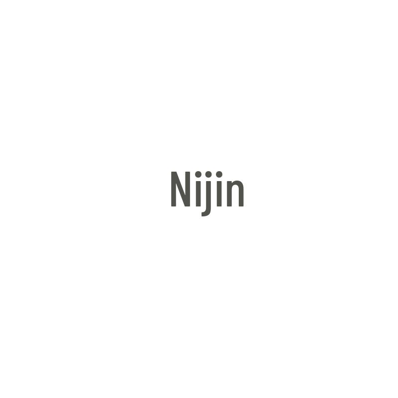 Nijing Engine Thermostat Assembly