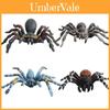 Fake Spider Collection With Static Design For Classroom Training And Display Displays