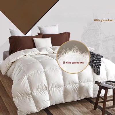 Luxury White Goose Down Hotel Quilt - Thick Warm Winter and Spring Pure Cotton Blanket