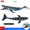 Large Marine Animal Models for Children's Science Education: Blue Whale, Shark Toys, Ornaments, and Figures.