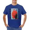 Doll Youth T-shirt quick-drying tops plain white t shirts men