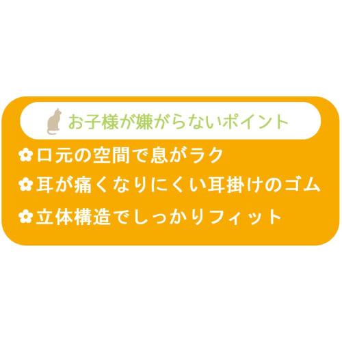 Skater 3-Layer Non-woven 3D Mask for Children 10 Pieces Bear School MSKS3-A